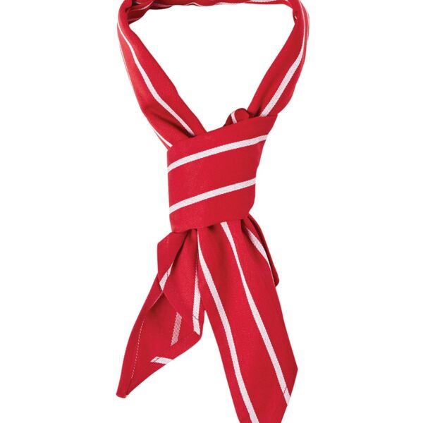 JB's  CHEFS SCARF Thumbnail